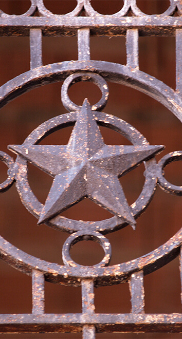 1996 Plan For Redevelopment Dallas County Hospital District repurchased the then empty facility with plans for redevelopment.